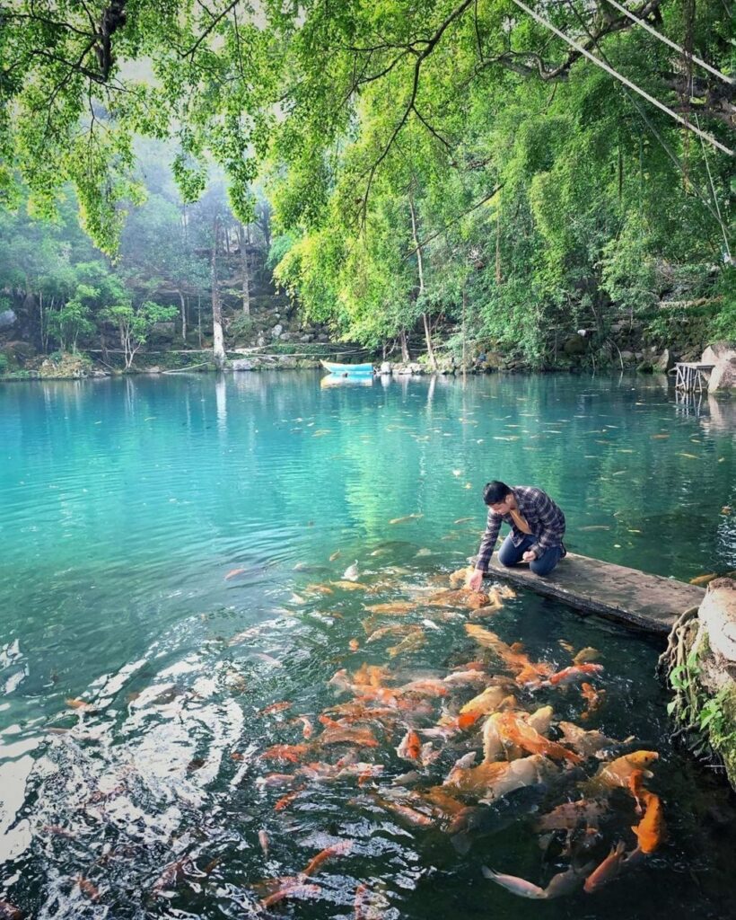 Memberi Makan Ikan di Danau telaga biru cicerem