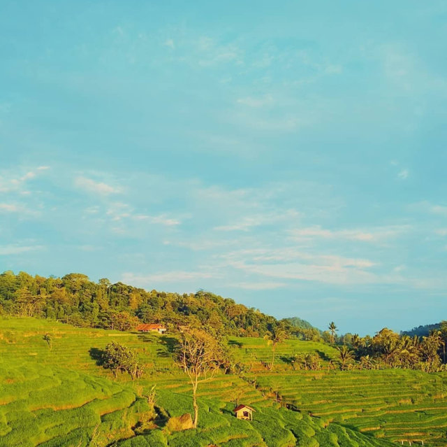 Suasana terasering Source : @nono.k1993