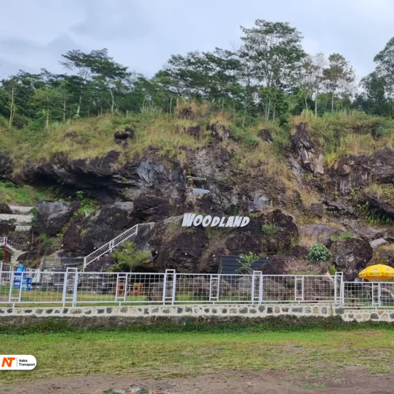 wisata kuningan woodland