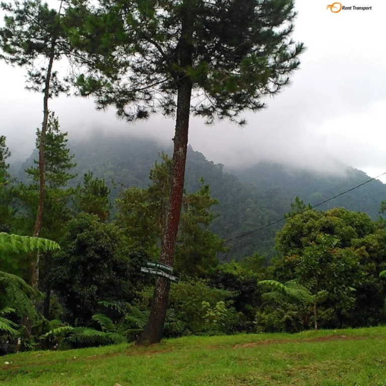 Wisata kuningan palutungan
