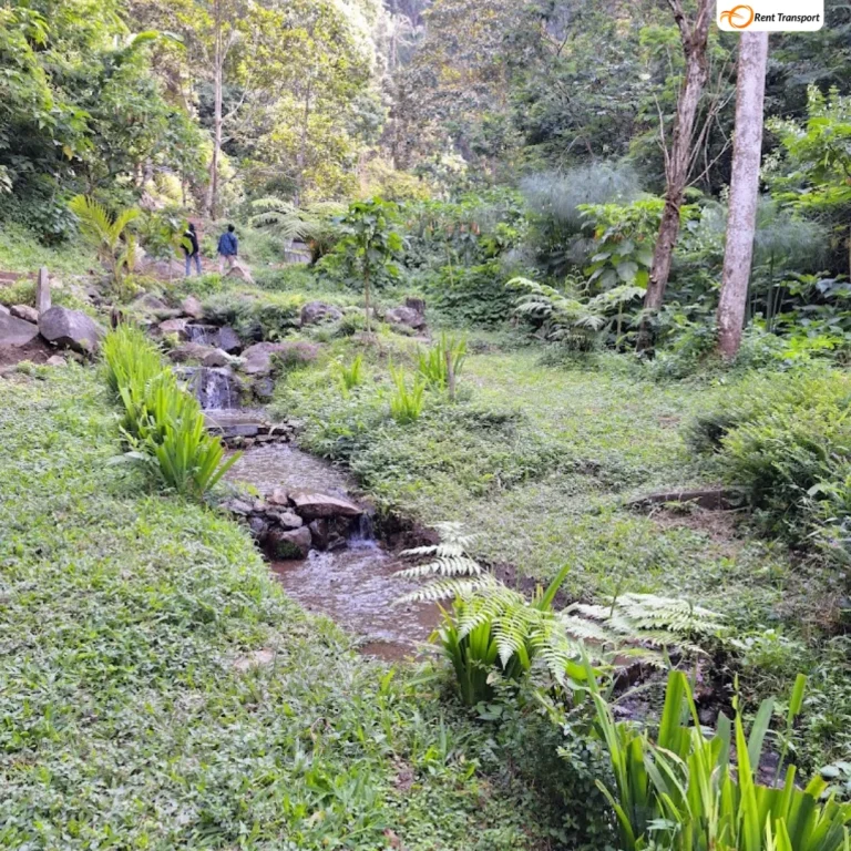 jalan menuju curug muhamad farizan