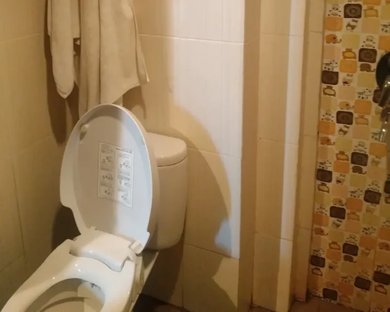 Toilet-Queen - Bebas Asap Rokok by gali priyana